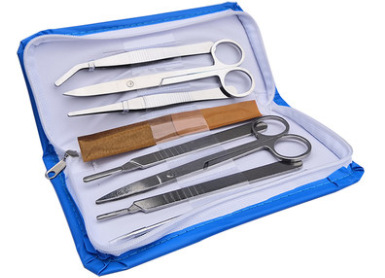 生物解剖器7件七件套4件四件套不锈钢昆虫解剖探针剪科学生物实验