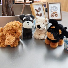 ���湷���������ߵ�С��ѩ�{��ë�q��ż��ë̩���_���{С�Y��