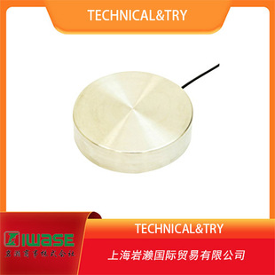 Iwasa Agent Technical&Try, Weighing Sensor Tts-100-L-120