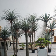 �¿�������Ѫ��z�m�䄦������������ �쾰�����ؿ��z�m��