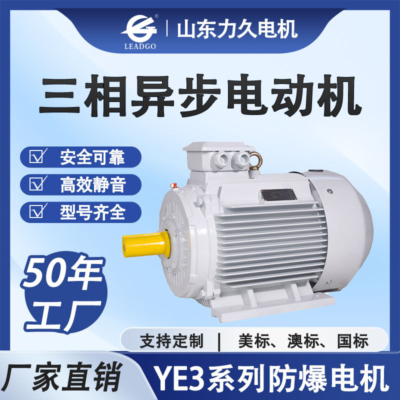 ye3三相异步电动机大功率0.75kw-250kw山东力久电机全铜芯起重电