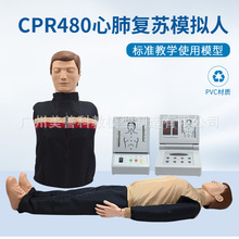 CPR480�ķΏ��Kģ�M���˹��������K���K����Ӗ�����w�̌W�t�W����