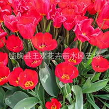 ���ݻ����������������_��Ʒ�N��N������������������������l