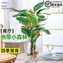 ˮֲﶬQm͏dB҃BGֲȩܺ