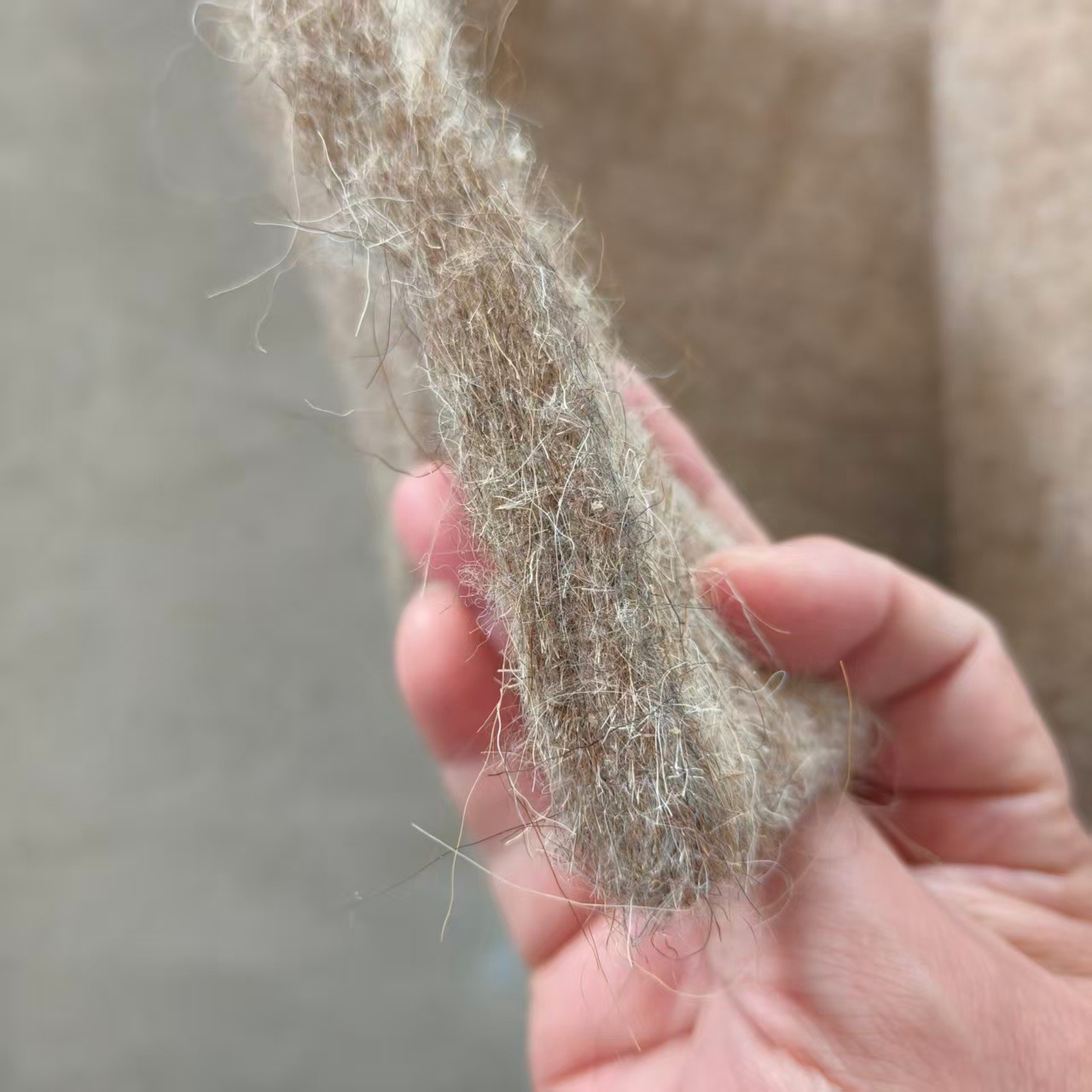 微信图片_20251122104730