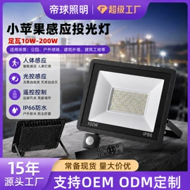 投光灯;泛光灯;工矿灯