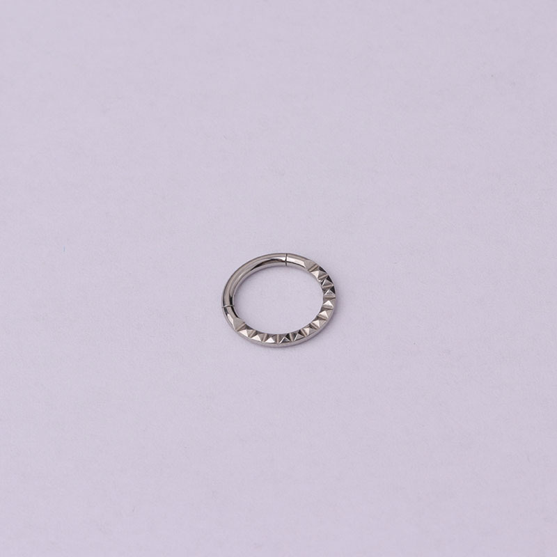 Nose Rings & Studs Fashion Geometric 316 Stainless Steel  Plating display picture 9