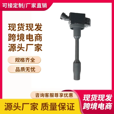 In Stock 90919-02276, 9091902276 Ignition Coil High Voltage Package Suitable for Toyota Lexus