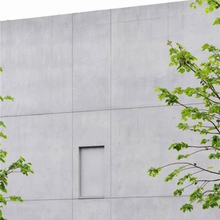 Outdoor housing homestay exterior wall hanging board clear water concrete board industrial wind integrated pouring cement board background wall