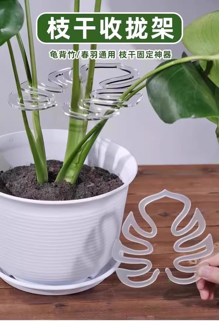 详情图