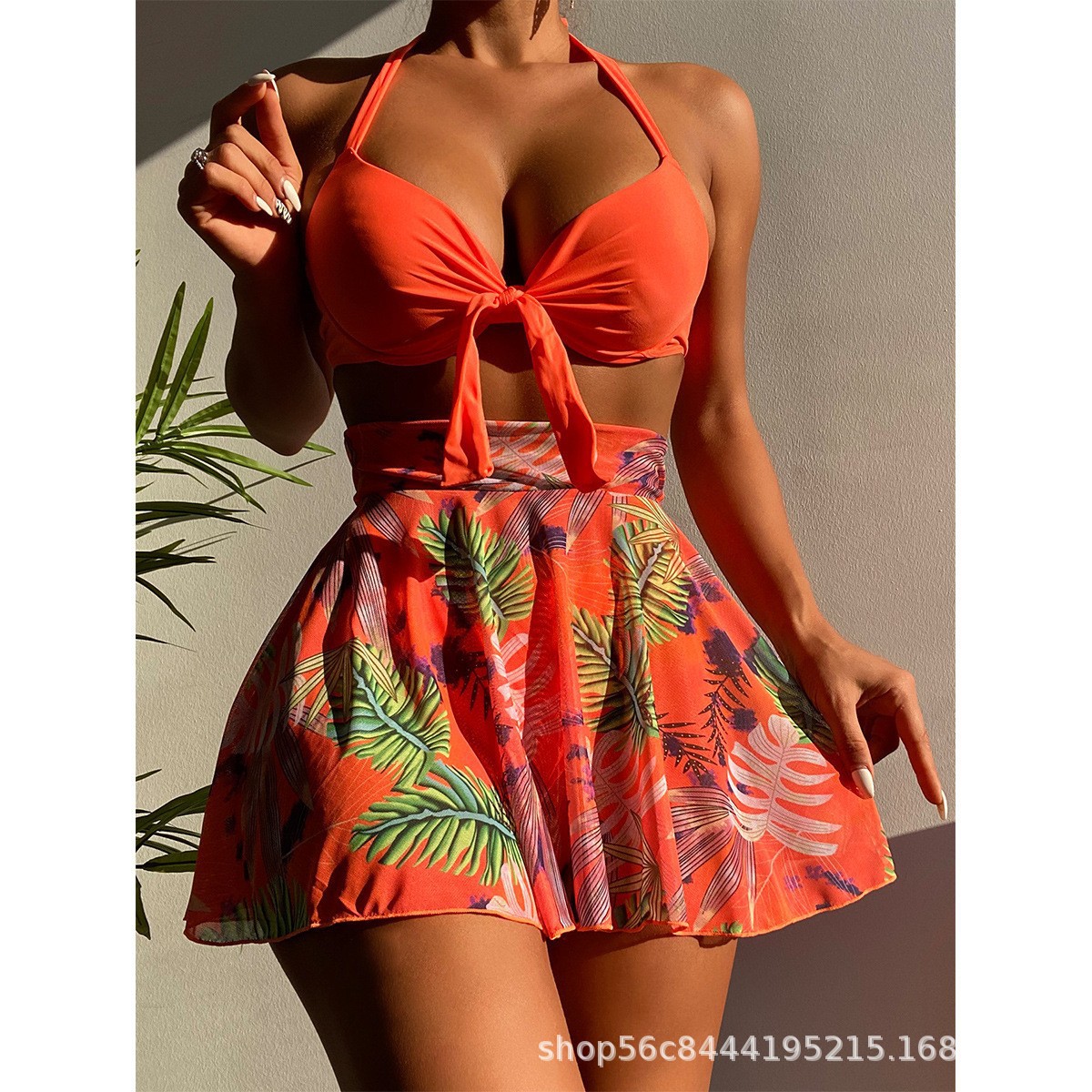 Bikini Image 2