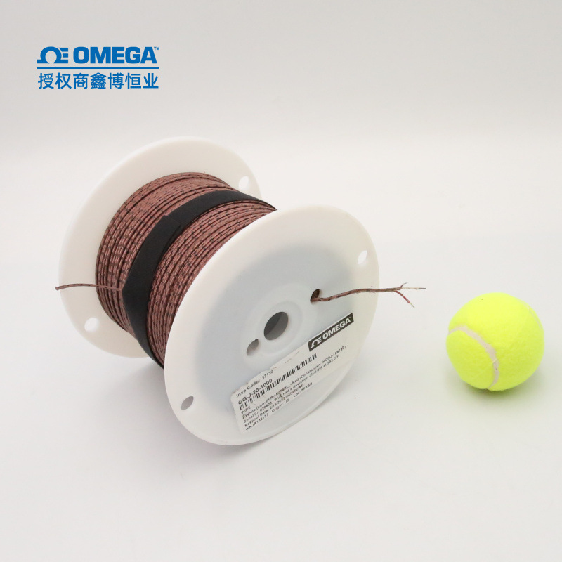 GG-J-20-1000 HH-J-20-100 GG-J-24-SB-1000奥米佳J型热电偶测温