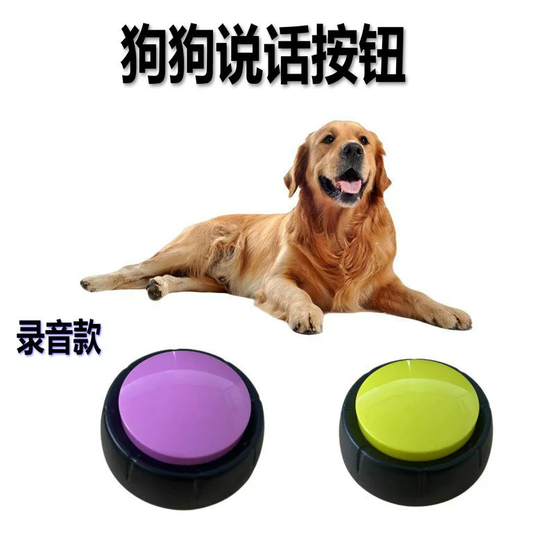 Кнопка связи с домашними животными может быть обучена разговаривать с собакой устройство связи может быть записано игрушечный эхолот тренировочная запись собаки может быть трансграничной