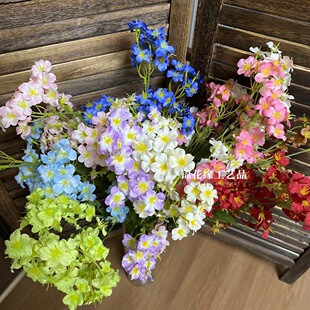 ������ͩ���滨�߼��б���ٻ� ��c��Y��·������ �ҾӾƵ��b�
