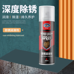 鉄筋除錆剤多機能専門防錆剤金属自転車用ドアロックボルト緩み剤噴霧卸売り