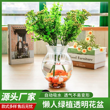 �҃�����[�Ż���͸��ˮ�����ϻ�ƿ�G�}ˮ��ֲ�������Gֲ���üҾ�