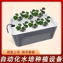水培蔬菜种植箱无土栽培设备家庭阳台种菜机室内自动水耕草莓花盆