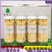 山东菏泽曹县特产巨鑫源原味糖醋白芦笋即食新鲜蔬菜罐头礼盒装