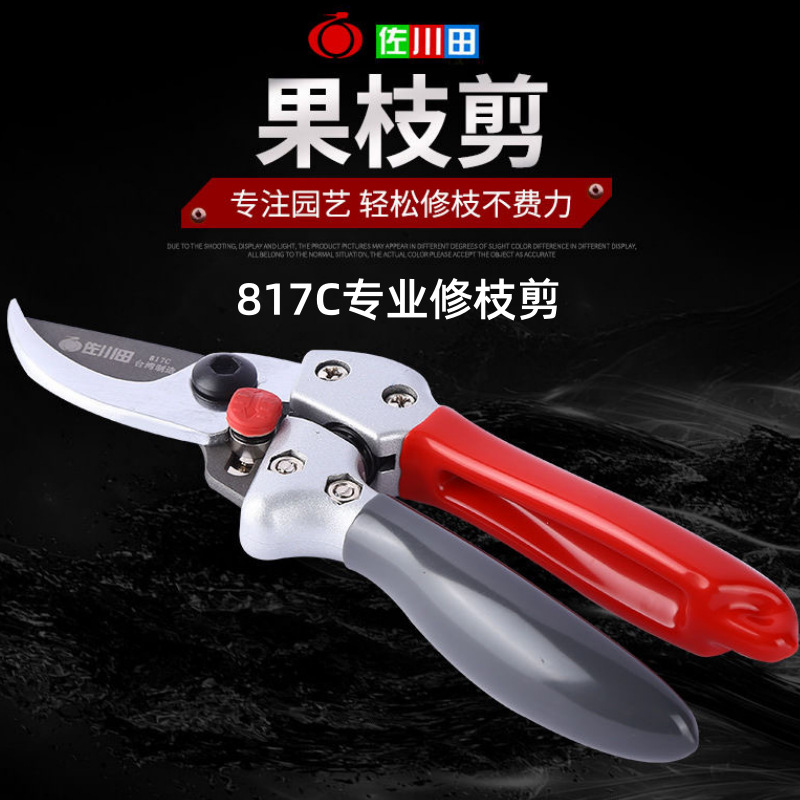 佐川田修枝剪日本进口钢锋利园艺剪刀切口平整愈合快果树修剪省力