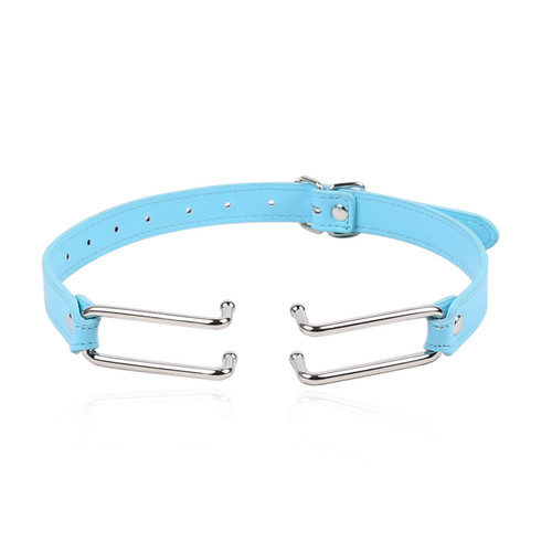 Sexy SM products metal nose hook nose hook bondage toys PU alternative adult flirting toys alternative hardcore