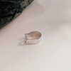 Tide, small design fashionable ring, advanced accessory, light luxury style, high-quality style, on index finger