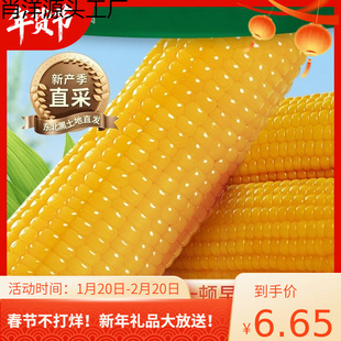 ������؛�|���S��Ŵ���װ�10֧��հ��b�SŴ�����|������