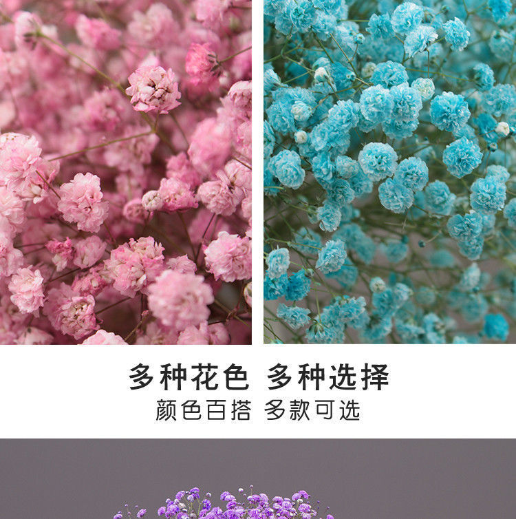 061ede6d-c1e8-4f8e-893c-b7c064206987.jpe