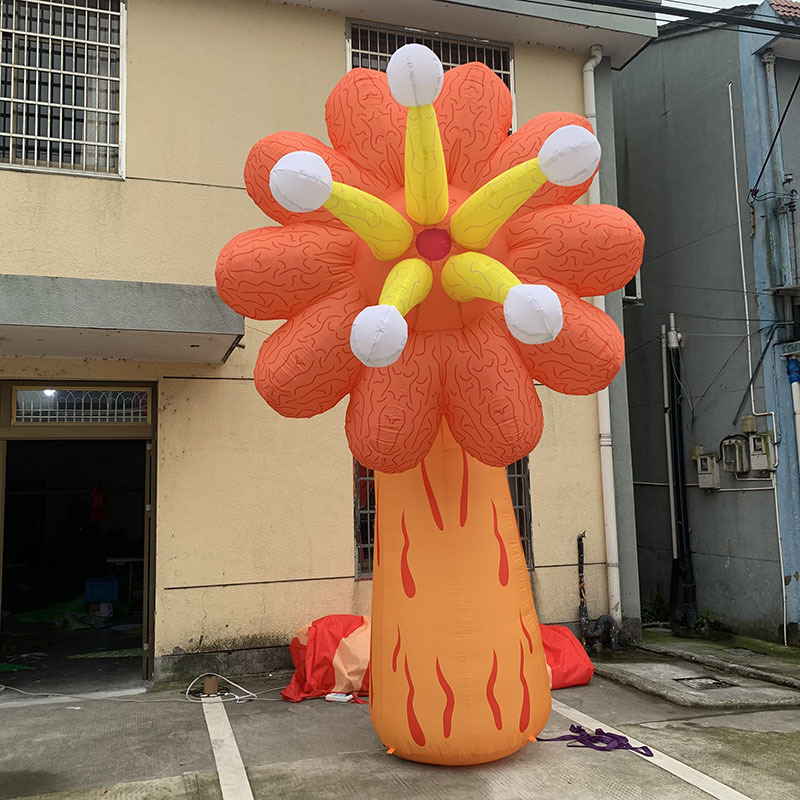 팬이 있는 꽃 6m개