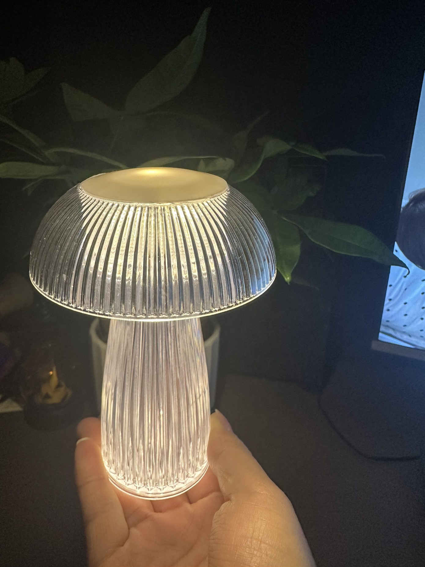 impicture_6c927e910a6ab35ae804