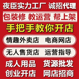 其他情趣用品;安全套;延时喷剂