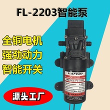 늄Ӹ�Ĥ�Ç��F������ˮ��늄Ӈ��F�����������12Vˮ�ø߉����l