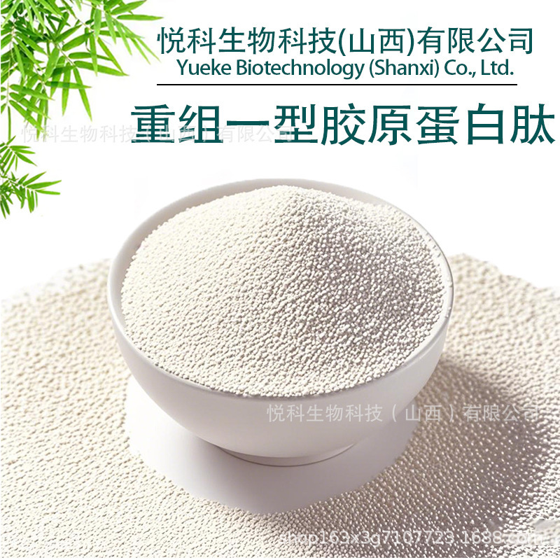 Recombinant Type I Collagen Multi-Specification Recombinant Type I Collagen Peptides Yueke Biotech Large Supply Available with Free Shipping