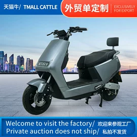 其他电动车;其他摩托车;电动三轮车