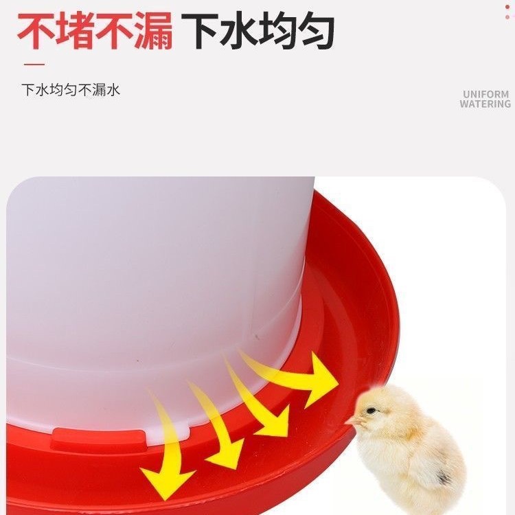 Fregadero de pollo, hervidor de agua, alimentador automático de pollo, fregadero de plástico, hervidor de agua, equipo de cría, cubo de pollo