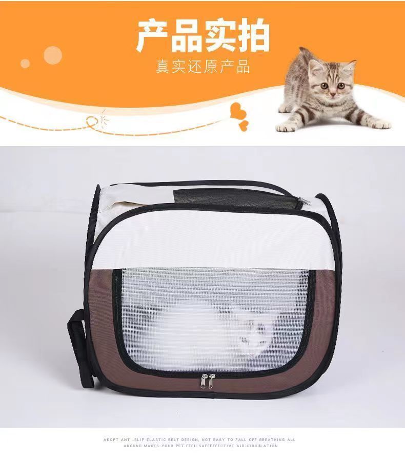 ab6ba7b4-6648-4776-b335-26e7ebda9067.jpe