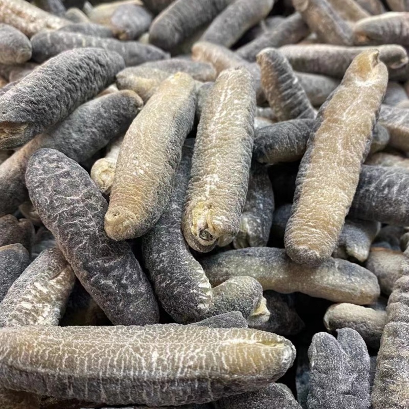 明秃参 足干纯淡干明秃海参泡发10倍 很适合高端酒楼使用大量货批