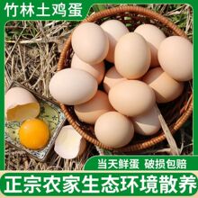 ɢ�B���u���������b��ʡ����֧�ֶY�а��b��ͨ���b������S���]