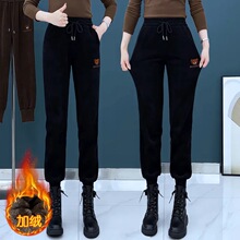 �羳�ӽq�Ӻ����_���eѝŮ2024���ﶬ�������Lëѝ�r�аٴ����ѝ