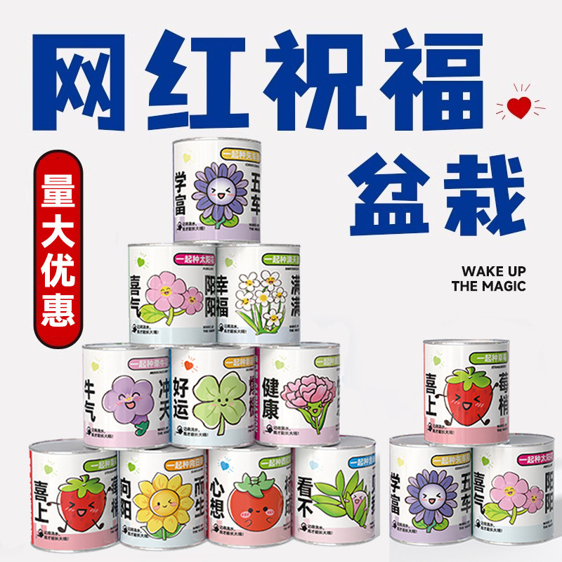 Easy-To-Grow Plant Blind Box Planting Small Potted Plants Kindergarten Seeds Green Plants Flowers Elementary School Student Reward Small Gifts