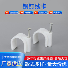 �S�Ҷ����ᔾ����̶��W��늾���ɫ�A��100pc�����������Ͼ��A