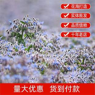 ���羳��؛�������ķN���ļ��׷N���N����ֲ���ͥ�@ˇ�̨ͥԺ��
