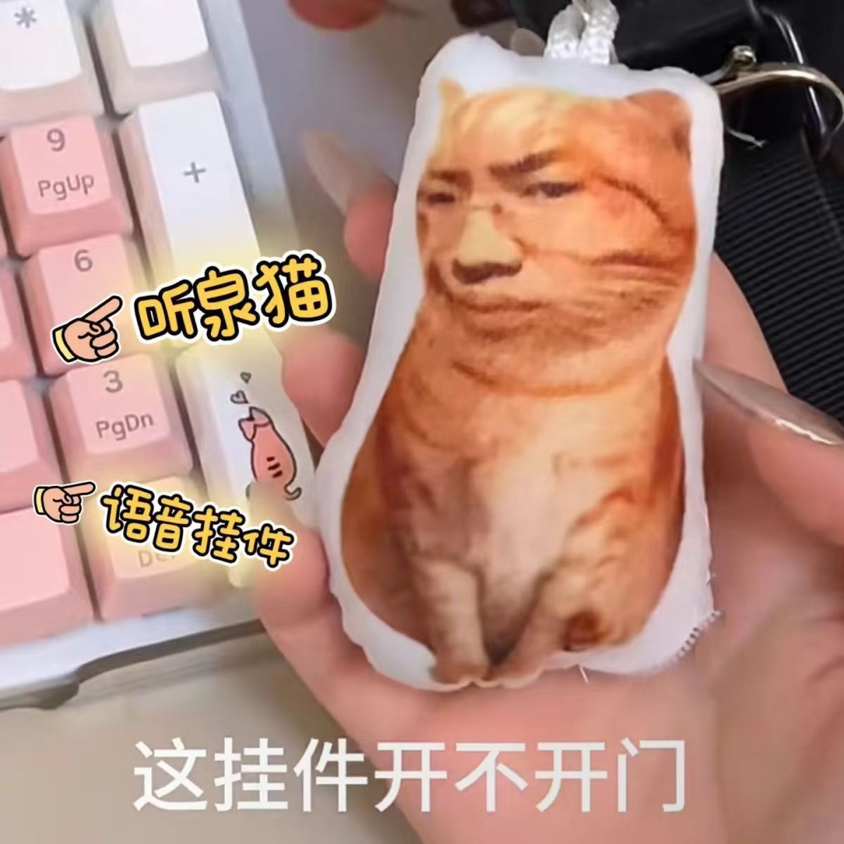 새로운 TINGQUAN 고양이 음성 펜던트 재미있는 추상 TINGQUAN JIANBAO 음성 키 체인 봉제 인형 프레스 음성