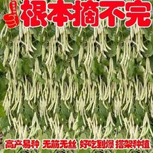 ܿNӉſܸ߮aļ＾͟r@߲˷N