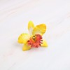 Fresh hairgrip suitable for photo sessions, wig, hair accessory, Thailand, orchid, flowered, boho style