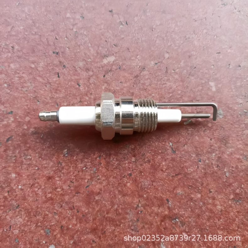 带侧极点火电极