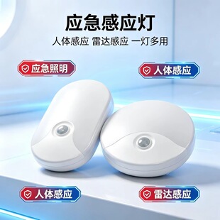 LED�����o�����w�Б��A����픟��ڟ������ڟ��ǵ��̨�l���g�^��
