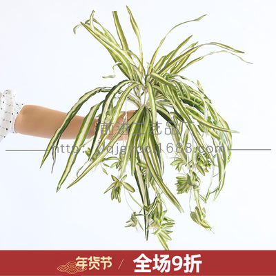 仿真吊兰草植物墙搭配绿叶吊顶装饰悬挂假绿植藤条假倒吊兰叶