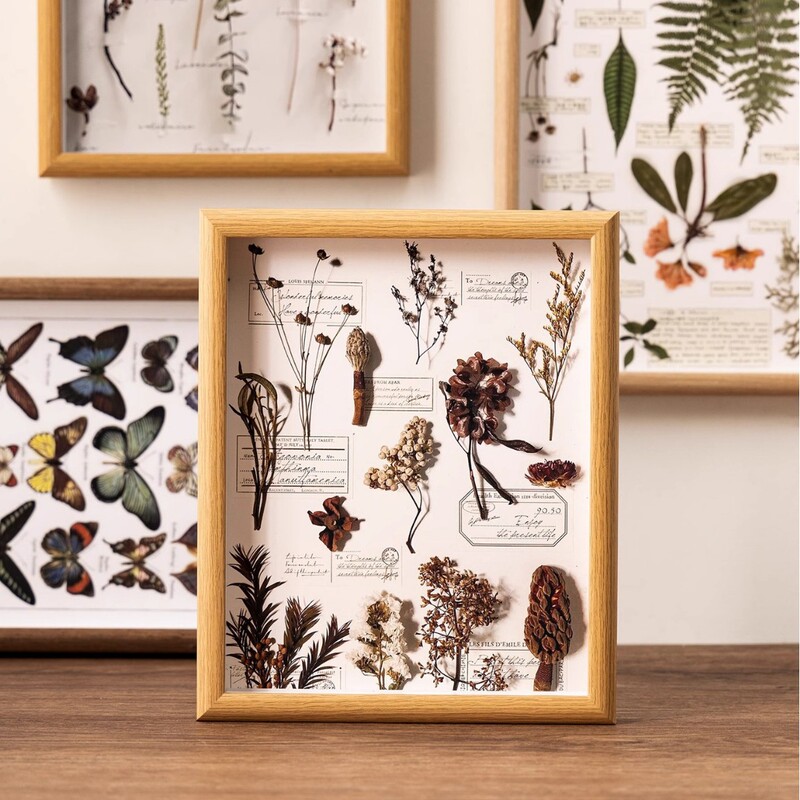 Three-Dimensional Plant Specimen Frame Fruit Handmade DIY Photo Frame Table Dried Flower Butterfly Insect Paper Painting Hollow Photo Frame