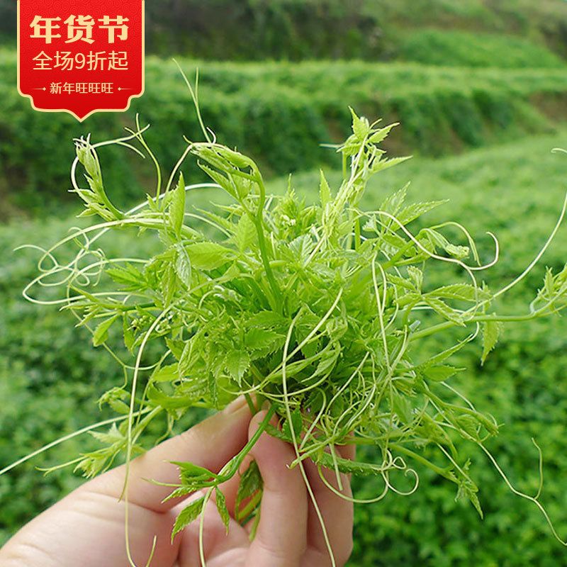 【量大价优】平利绞股蓝龙须清香陕西特产茶叶散批绞股蓝茶叶散装|undefined