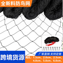跨境加粗尼龙网厂家防鸟网飞机场鱼塘天网养殖果园防鸟网网孔